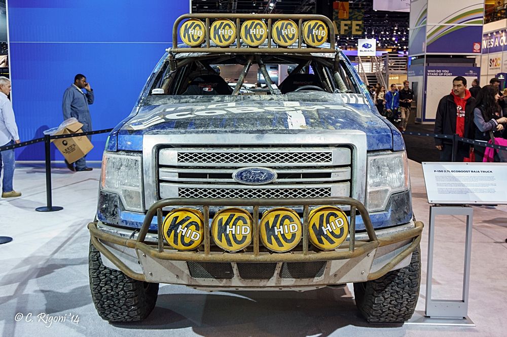 LR-05155.jpg