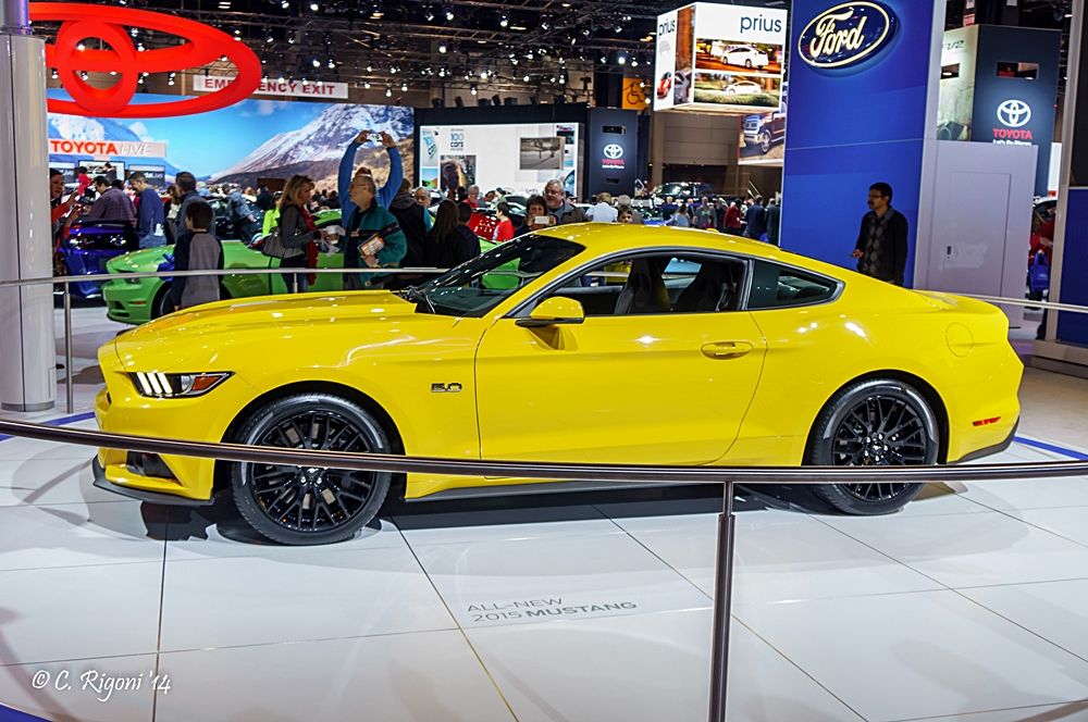 LR-05164-1.jpg