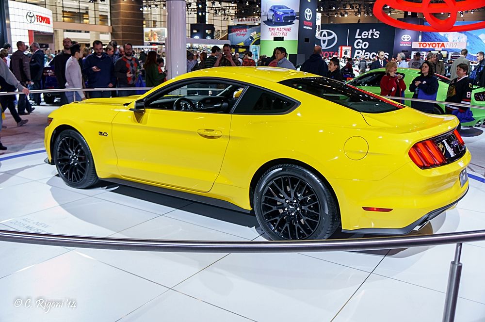 LR-05169.jpg