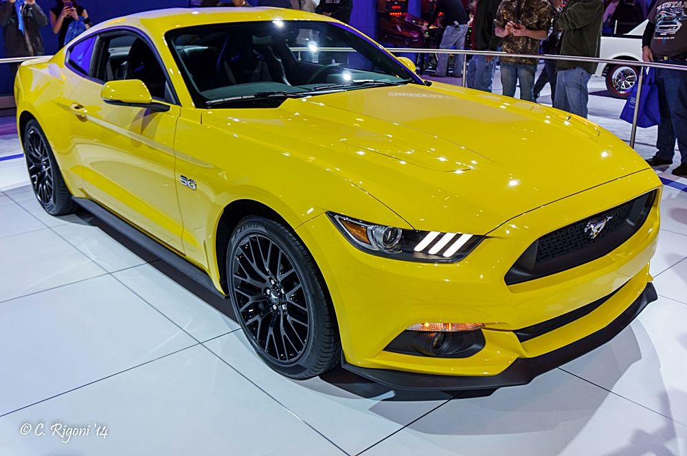 LR-05171.jpg