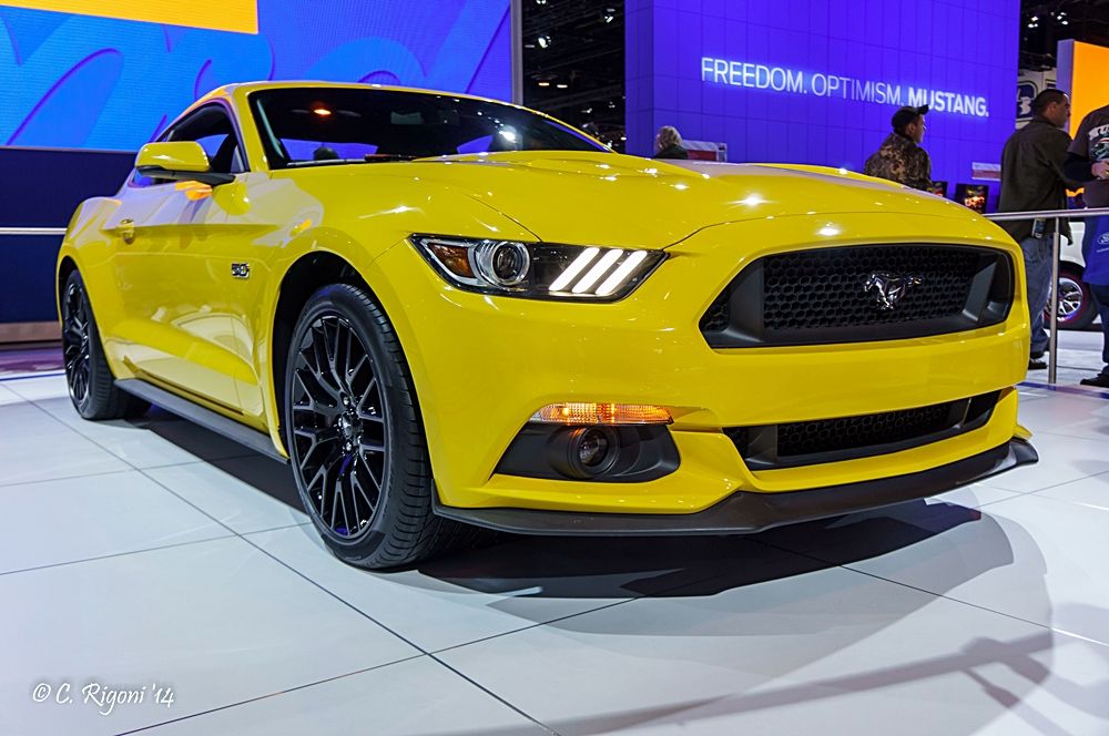 LR-05172.jpg