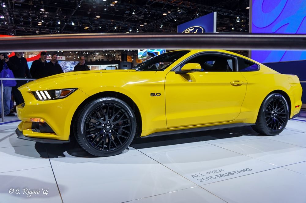LR-05178.jpg