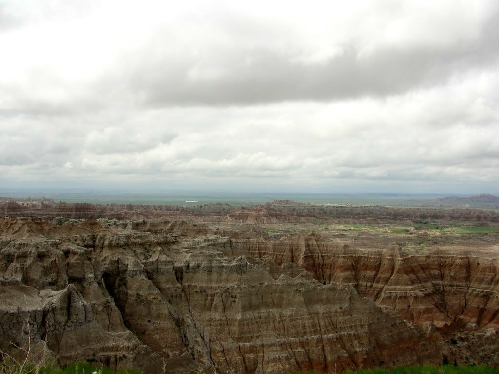 DSC00357.jpg