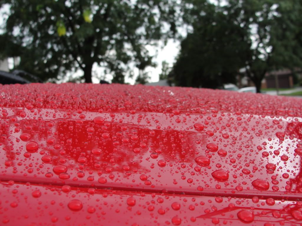 DSC01101.jpg