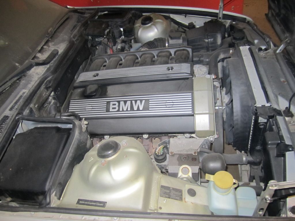 BMW011.jpg