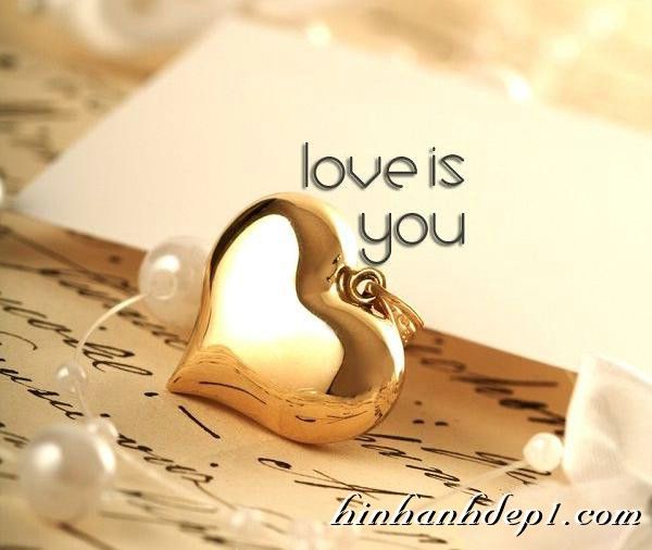  photo 8_zps524233d1.jpg