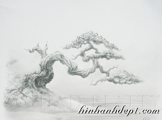 photo 7_zps17786818.jpg