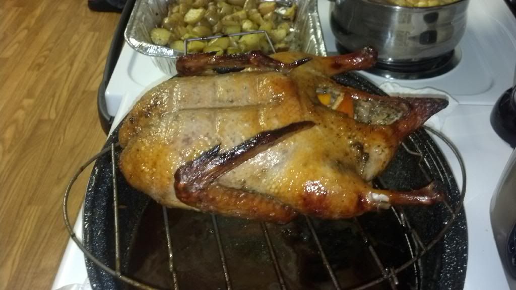 [Image: IMG_20131208_210112_319.jpg]