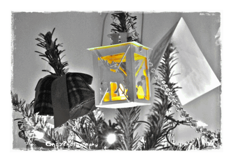 photo ourchristmastreelanternsmallerwatermarked.gif