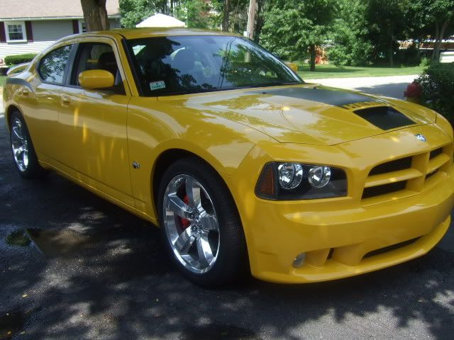 Superbee269.jpg