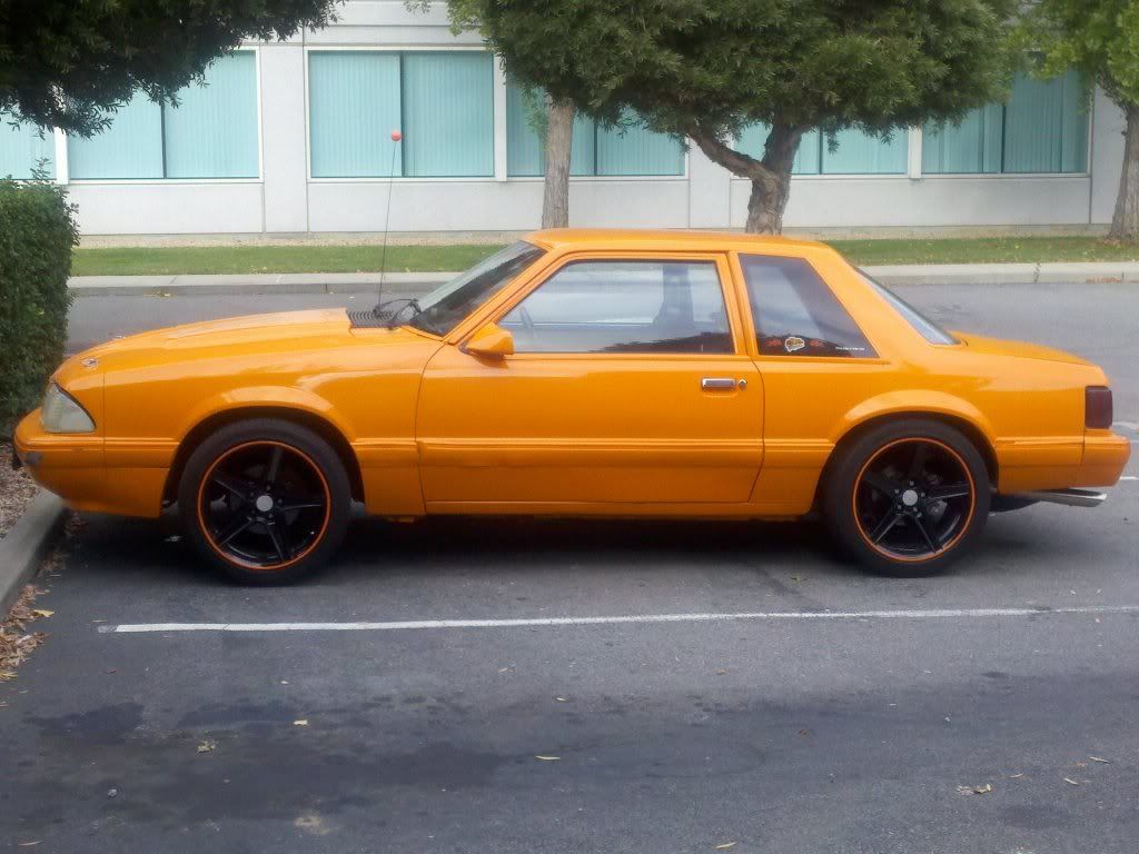 TTOP 87 NOTCH BACK COUPE PROJECT Ford Mustang Forums