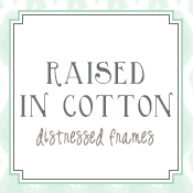 Raised In Cotton