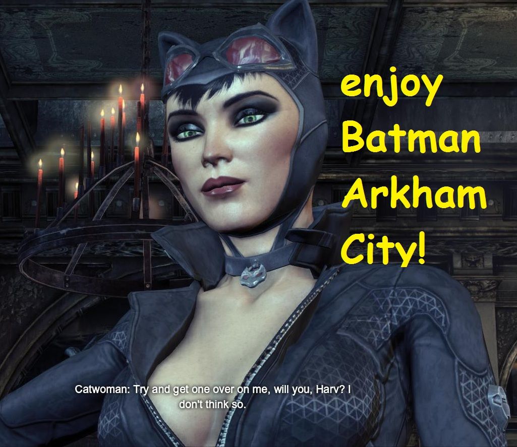 Batman Arkham City Fix Crack Windshield