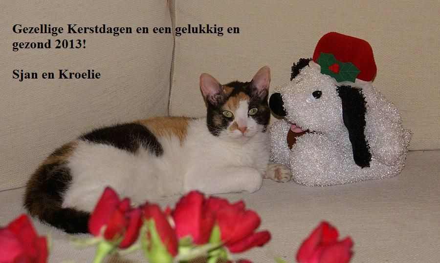 Fotografie