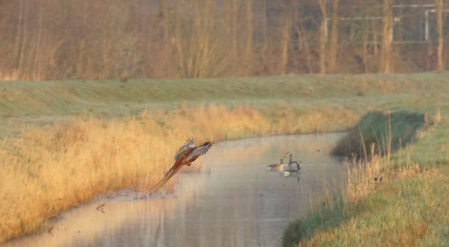 Fotografie