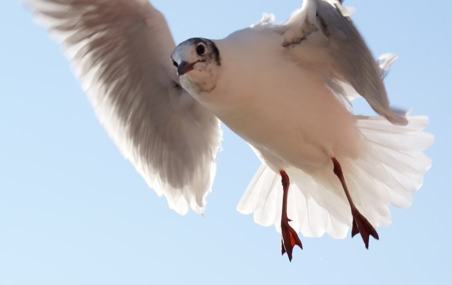 Fotografie