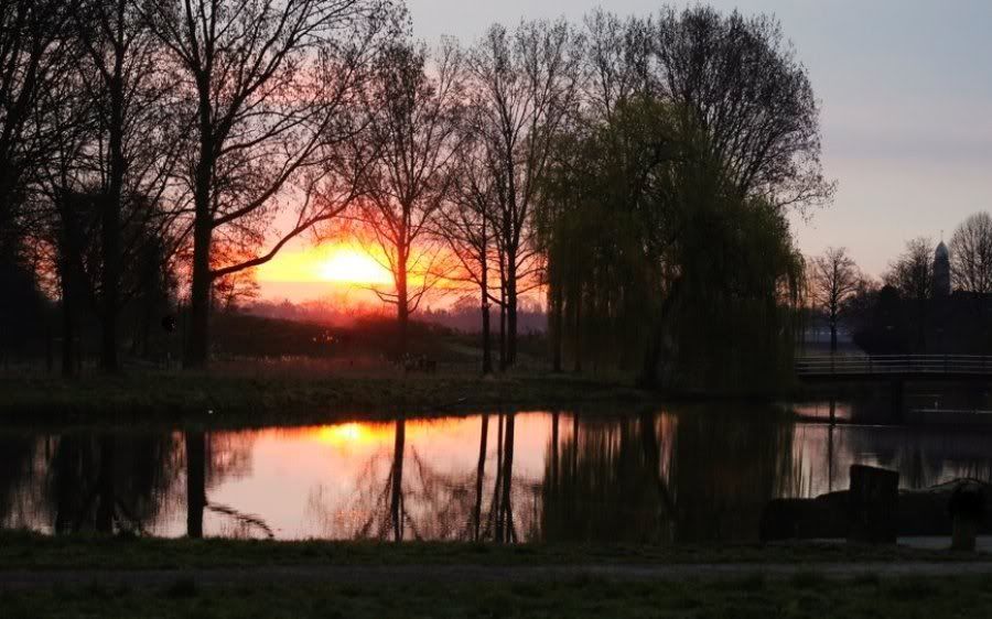 Fotografie