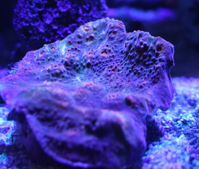 Img 0387 - What are you bringing to the FRAG Swap on 8/14?