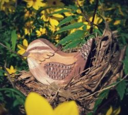 Simple Gifts Original "Jenny Wren"- Wooden Bird-Nature Table