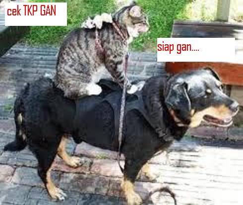 kumpulan wallpaper keren. [share] Kumpulan Wallpaper