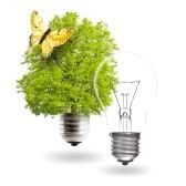 10285139-electric-light-bulb-and-green-light-bulb-with-butterfly-on-a-white-background-the-concept-of-renewab.jpg