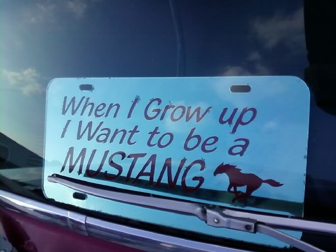 grow_up_to_be_a_mustang.jpg