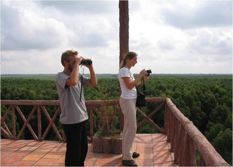 du lịch sinh thái Tràm Chim Đồng Tháp