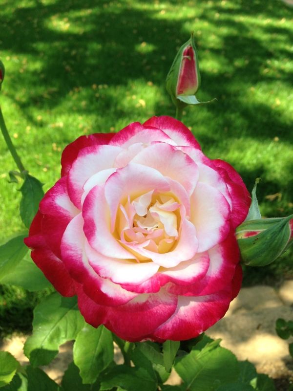 Photobucket Pictures, Images and Photos