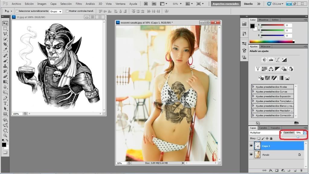 modelo
