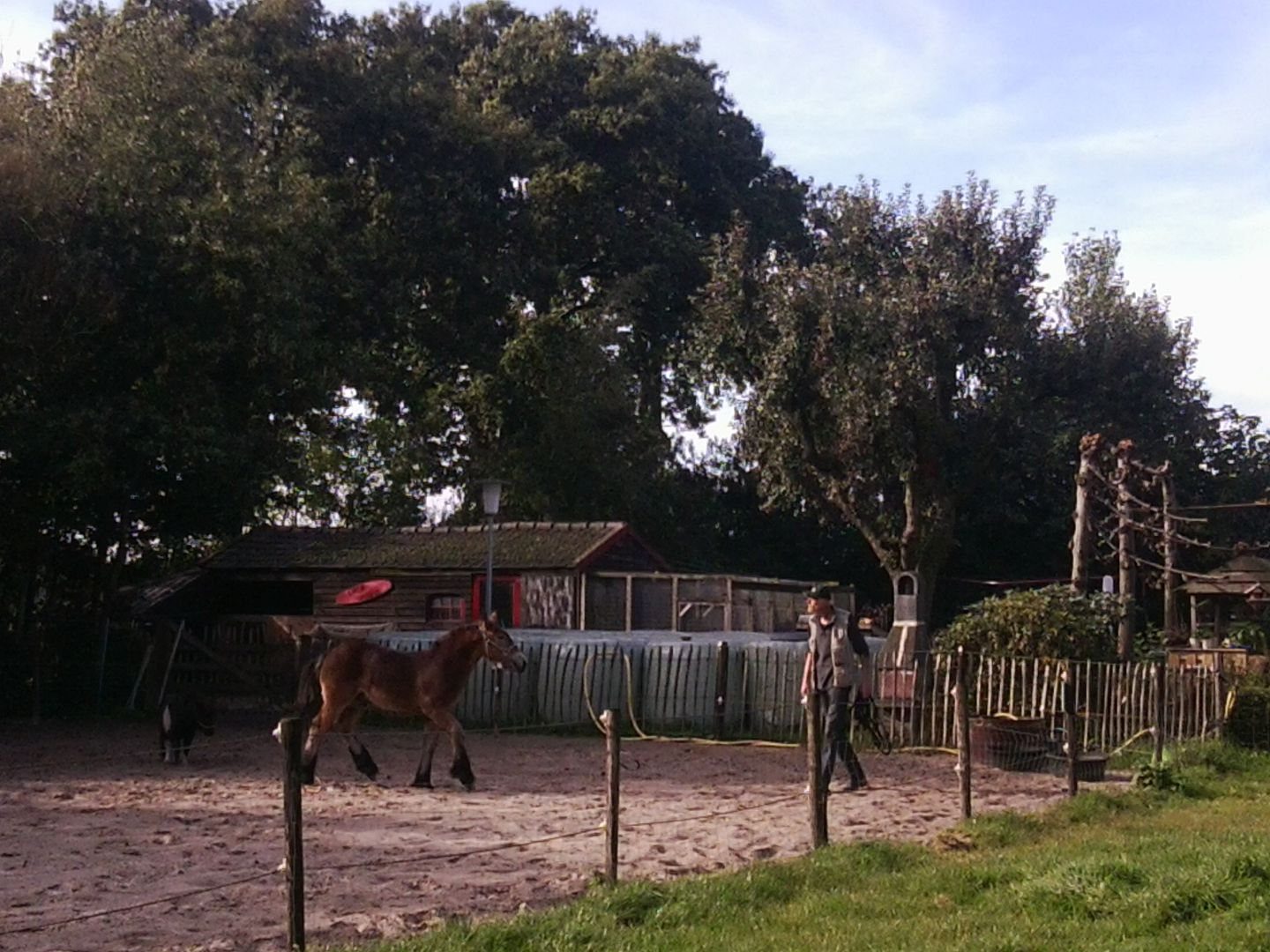 Afbeelding