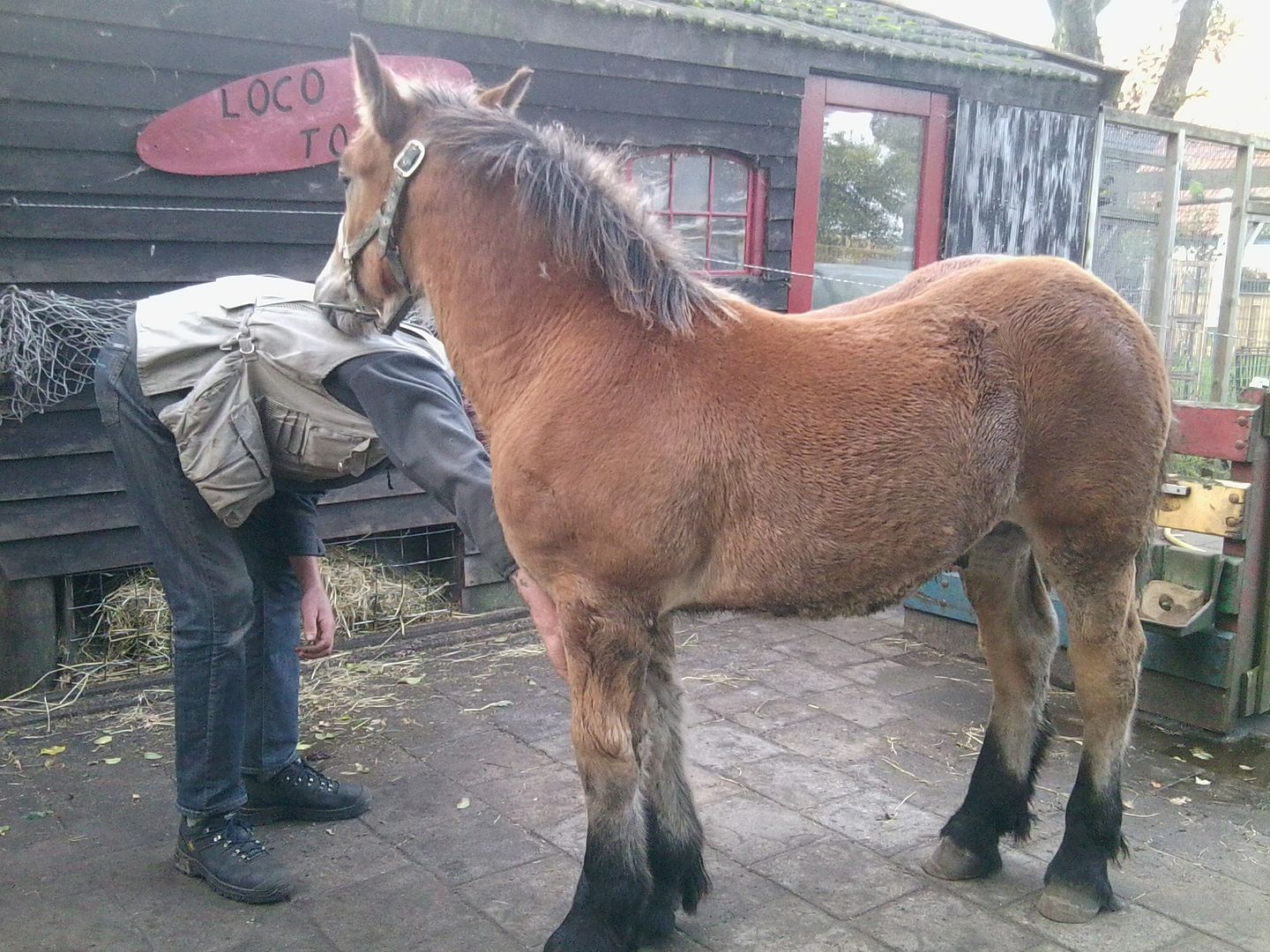 Afbeelding