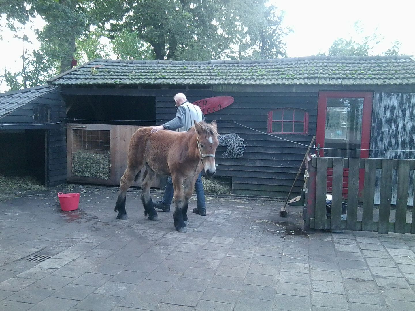 Afbeelding