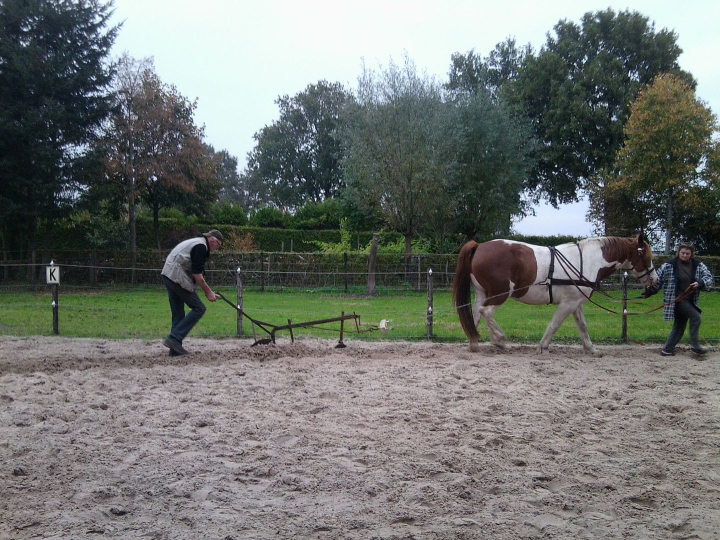 Afbeelding