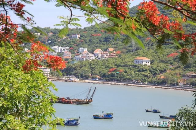 Mùa hè Vũng Tàu, Du lịch vùng miền, Du lịch, du lich le phat dan, chua, dia danh dep, du lich, du lich the gioi, canh dep, phong canh dep, anh thien nhien, anh phong canh, wallpaper, hinh anh dep, bao, tin tuc, hinh dep