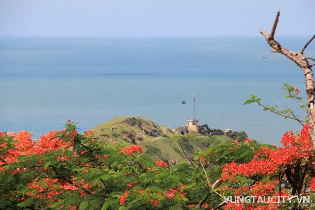 Mùa hè Vũng Tàu, Du lịch vùng miền, Du lịch, du lich le phat dan, chua, dia danh dep, du lich, du lich the gioi, canh dep, phong canh dep, anh thien nhien, anh phong canh, wallpaper, hinh anh dep, bao, tin tuc, hinh dep