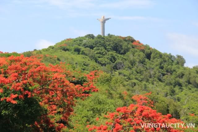 Mùa hè Vũng Tàu, Du lịch vùng miền, Du lịch, du lich le phat dan, chua, dia danh dep, du lich, du lich the gioi, canh dep, phong canh dep, anh thien nhien, anh phong canh, wallpaper, hinh anh dep, bao, tin tuc, hinh dep