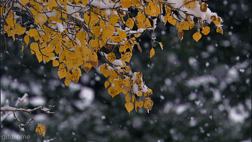  photo tumblr_mvp81kZ53e1s2xab7o1_500.gif