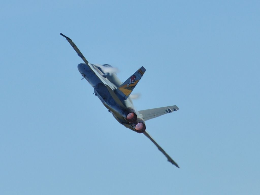 DSC_7880FA-18Hornet.jpg