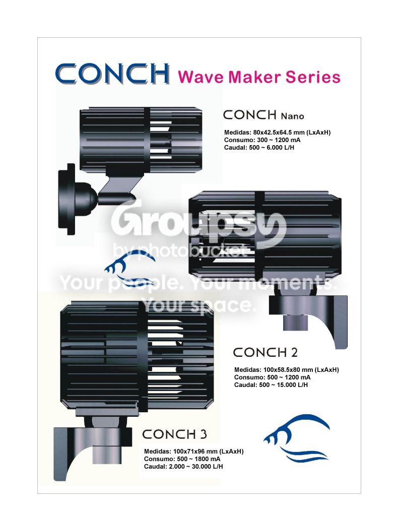 [TodoMarino.com] WaveMaker Conch Basic & Expert