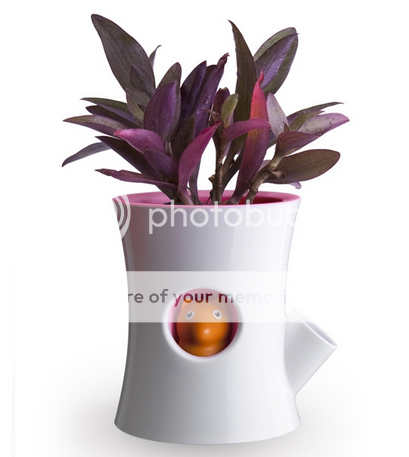 re: [作业07] 仿生设计的搜集与认识 - 100-2《中国》竹视传一b-色彩