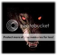 Beast Wolf Pictures, Images and Photos