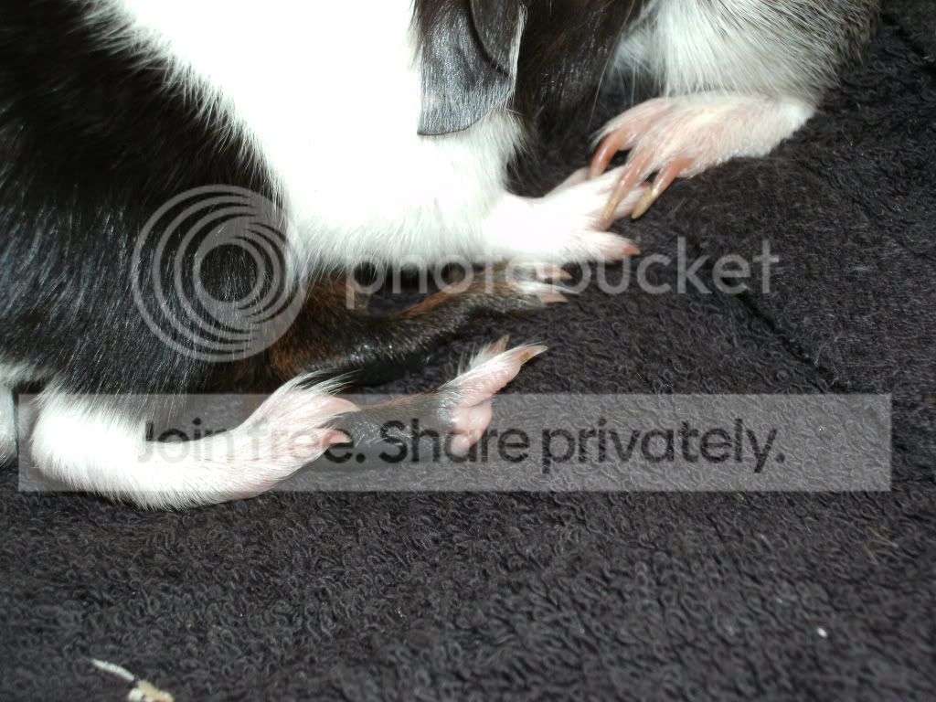 PICT0193.jpg
