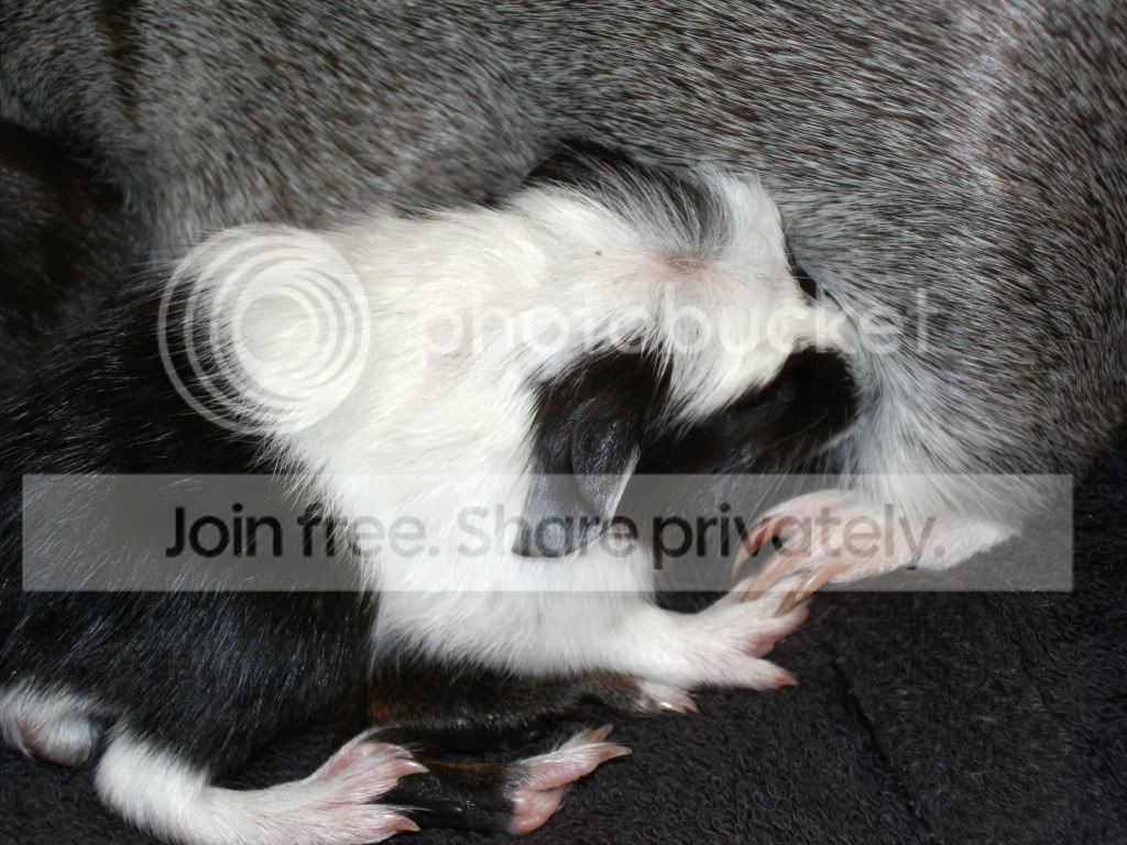 PICT0194.jpg
