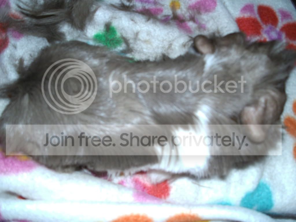 PICT0289.jpg