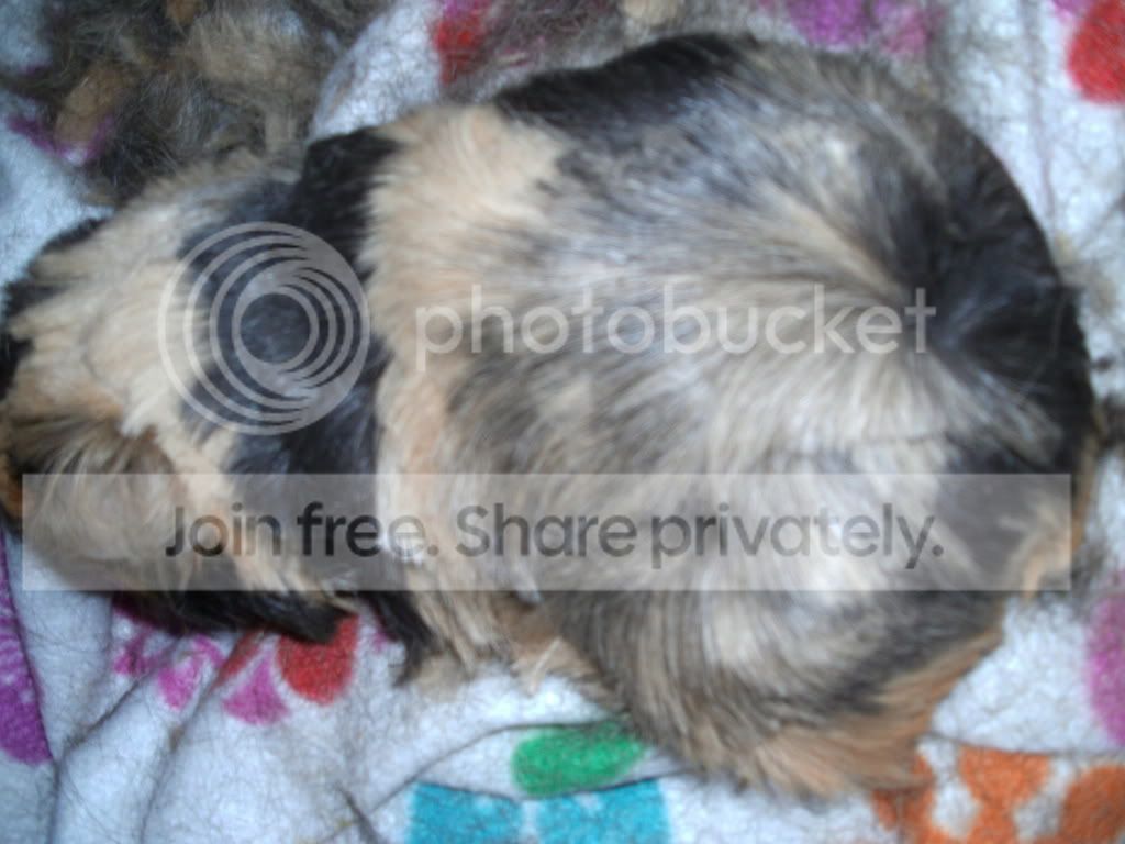 PICT0298.jpg