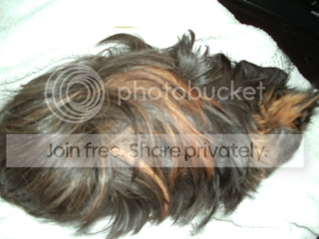 PICT0301.jpg