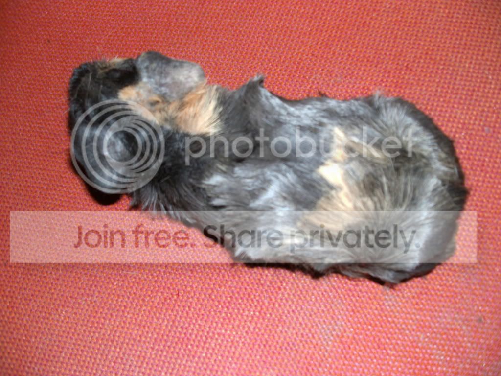 PICT0302.jpg