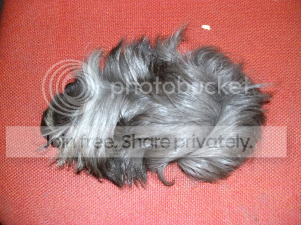 PICT0306.jpg