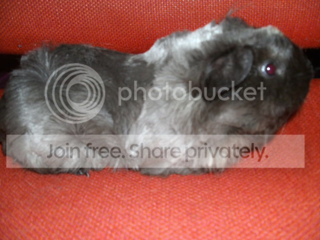 PICT0311.jpg